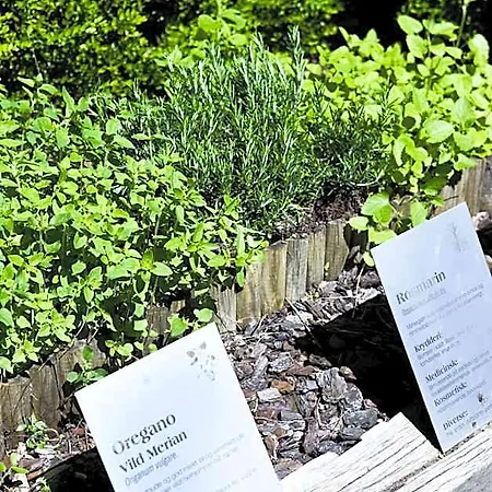 Skjalm Hvide Hotel 3*