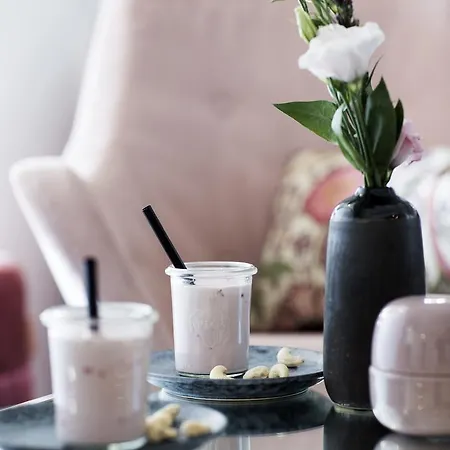 Otel Skjalm Hvide 3*